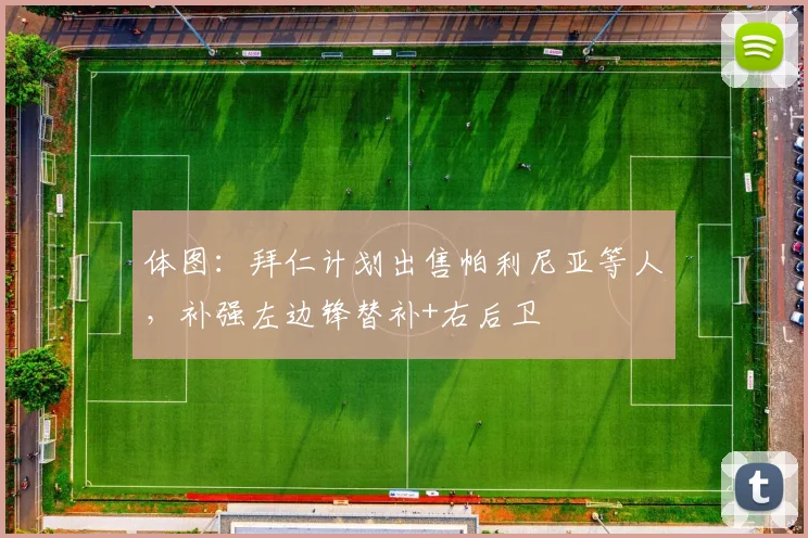 体图：拜仁计划出售帕利尼亚等人，补强左边锋替补+右后卫