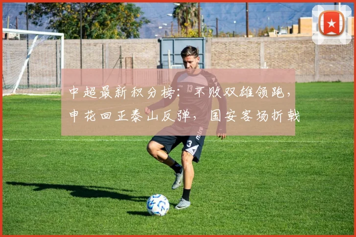 中超最新积分榜：不败双雄领跑，申花回正泰山反弹，国安客场折戟