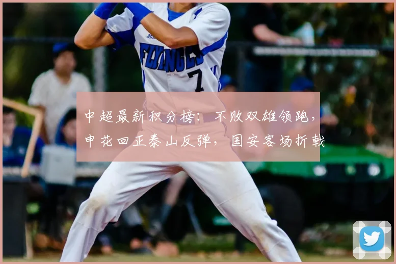 中超最新积分榜：不败双雄领跑，申花回正泰山反弹，国安客场折戟