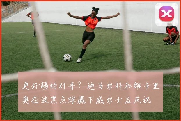 更好踢的对手？迪马尔科和维卡里奥在波黑点球赢下威尔士后庆祝