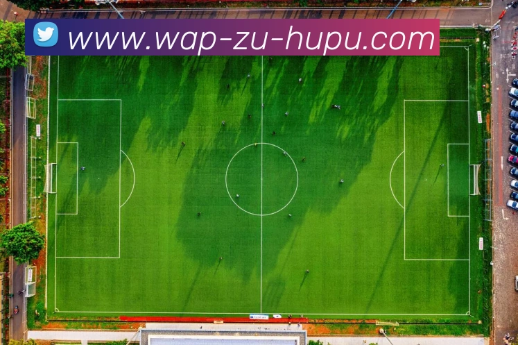 数据防护可视化